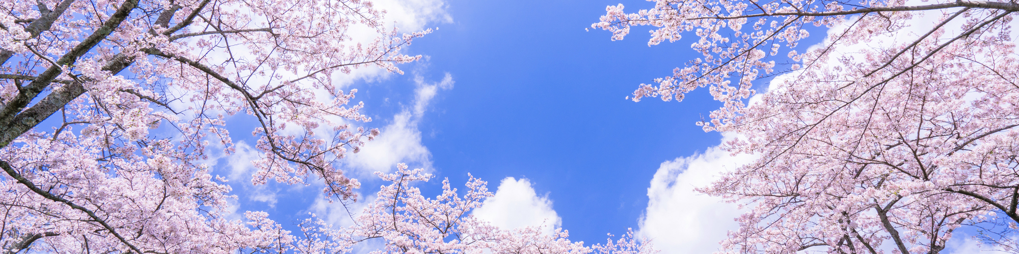 イメージ イメージ